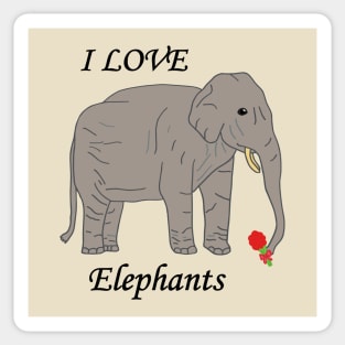 I love elephants Sticker